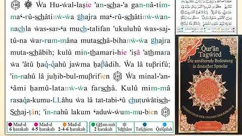 ختمة من مصحف التجويد باللغة الألمانية الصفحة رقم 146