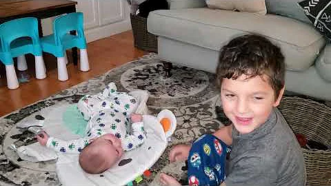 Gavin and Cohen