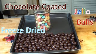 Chocolate Coated Freeze Dried Jello Balls Ep354