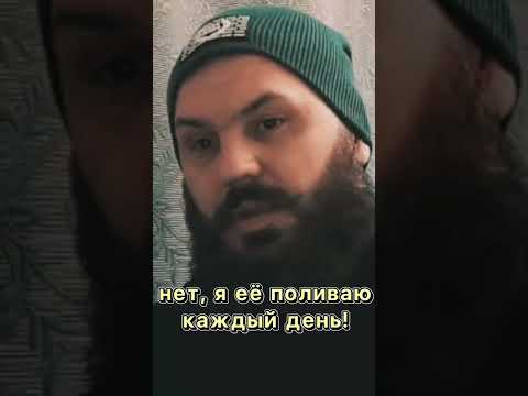 Как отрастить бороду. Ответ рассмешил собеседника 🤣