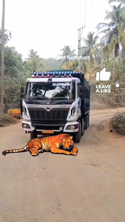 😠😭massive truck accident lion #trukdance #mixter #youtubeshorts #shorts