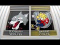 Game 64 highlights sudbury wolves at barrie colts