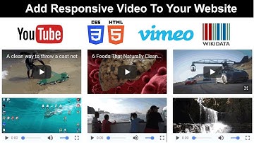 Add Responsive Video To Your Website. Download the code 2018
