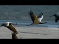 Art of Noise - Robinson Crusoe