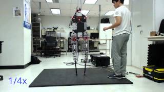 Smallest Point Foot Biped Breaks Own Record