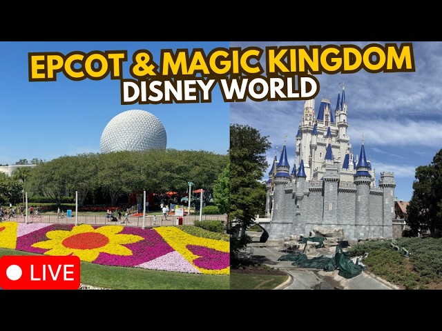 🔴 LIVE: Epcot & Magic Kingdom Rides & Characters | 06.02.2026 Walt Disney World