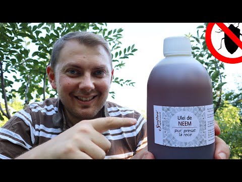 Video: Uporaba neemovega olja: uporaba insekticida neemovega olja na vrtu