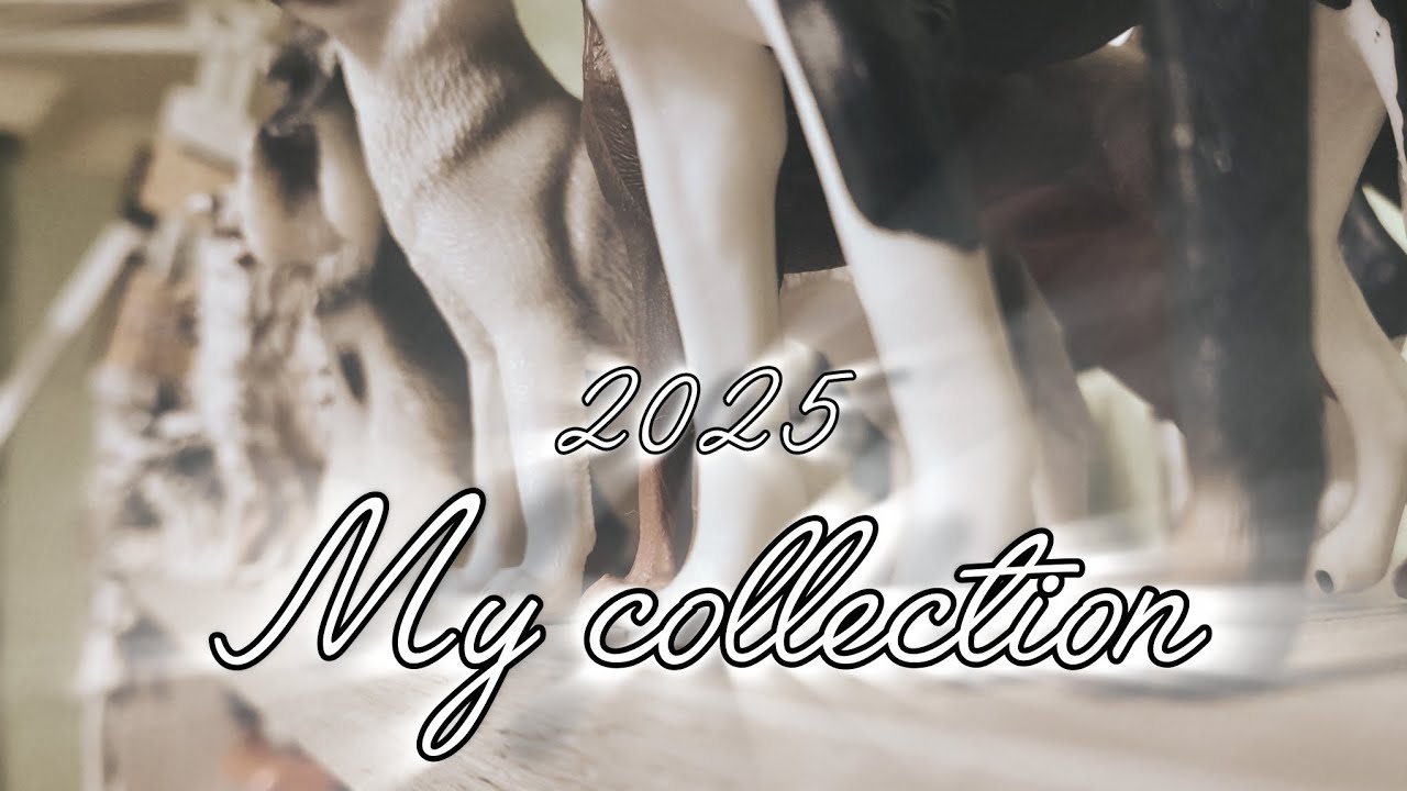 My collection #6//2025//Лошади, собаки, волки, дикие кошки, олени