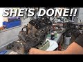 Turbo YXZ engine build DONE! Cam timing, head studs, and a puppy!