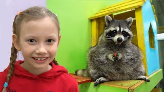 Alena plays and studies funny animals Raccoons by Chiko TV 346,252 views 1 year ago 2 minutes, 59 seconds