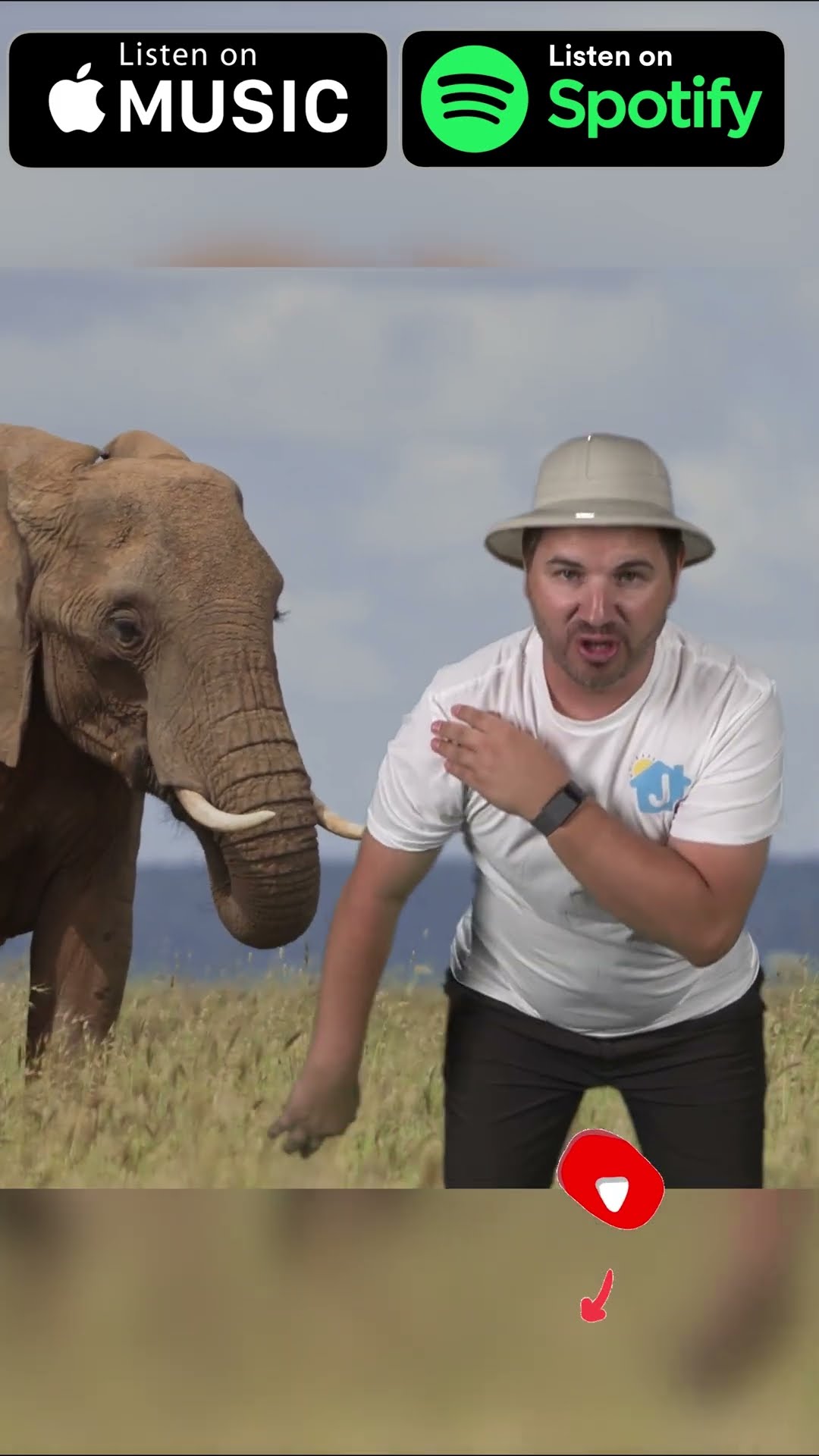 ????? Safari #kidssong