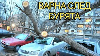Щетите във Варна след ураганния вятър са навсякъде! Бедственото положение още не е отменено!