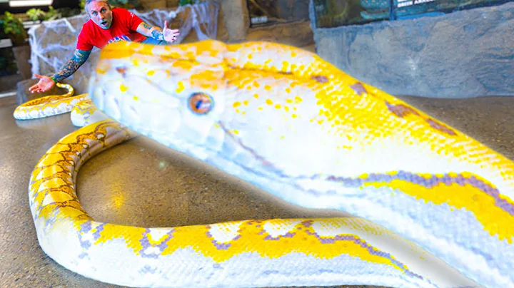 I DON'T KNOW WHAT'S GOING ON WITH MY GIANT SNAKE?? | BRIAN BARCZYK