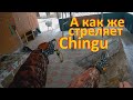 Рыбалка с рогаткой Так ли это просто как кажется #Chingu#Рыбалка с #рогаткой