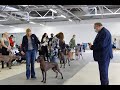 Xoloitzcuintle specialty 2021, Russia の動画、YouTube動画。