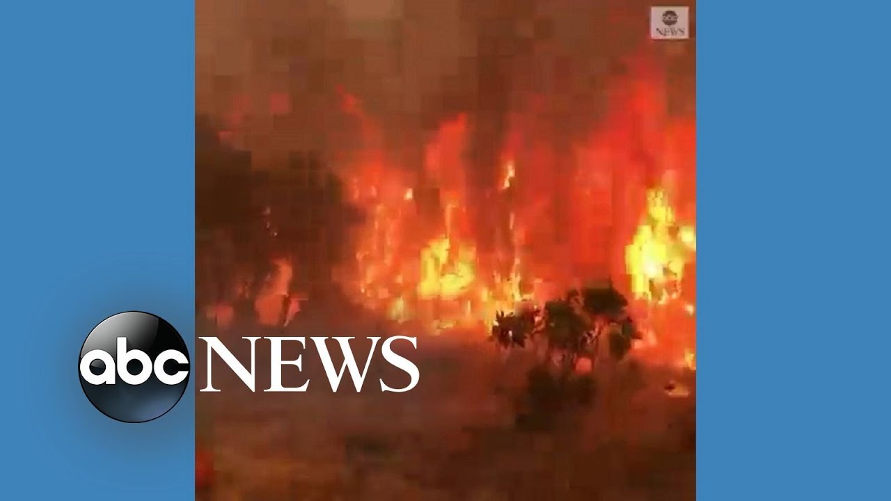 Wildfires rage in Algeria