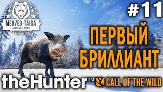 theHunter call of the wild #11 🔫 - Первый Бриллиант - Револьвер, Арбалет - Кабарга, Лось, Кабан