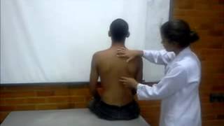 Download Lagu Exame De Musculoesqueletico MP3 Exame De Musculoesqueletico