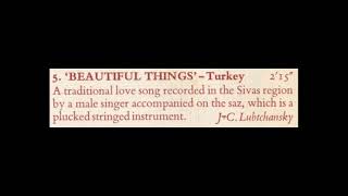 Beautiful Things -- Turkish love song