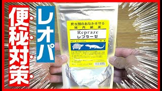 【超おすすめ！】レオパの便秘対策、レプラーゼ使ってみたら効果がすごかった！