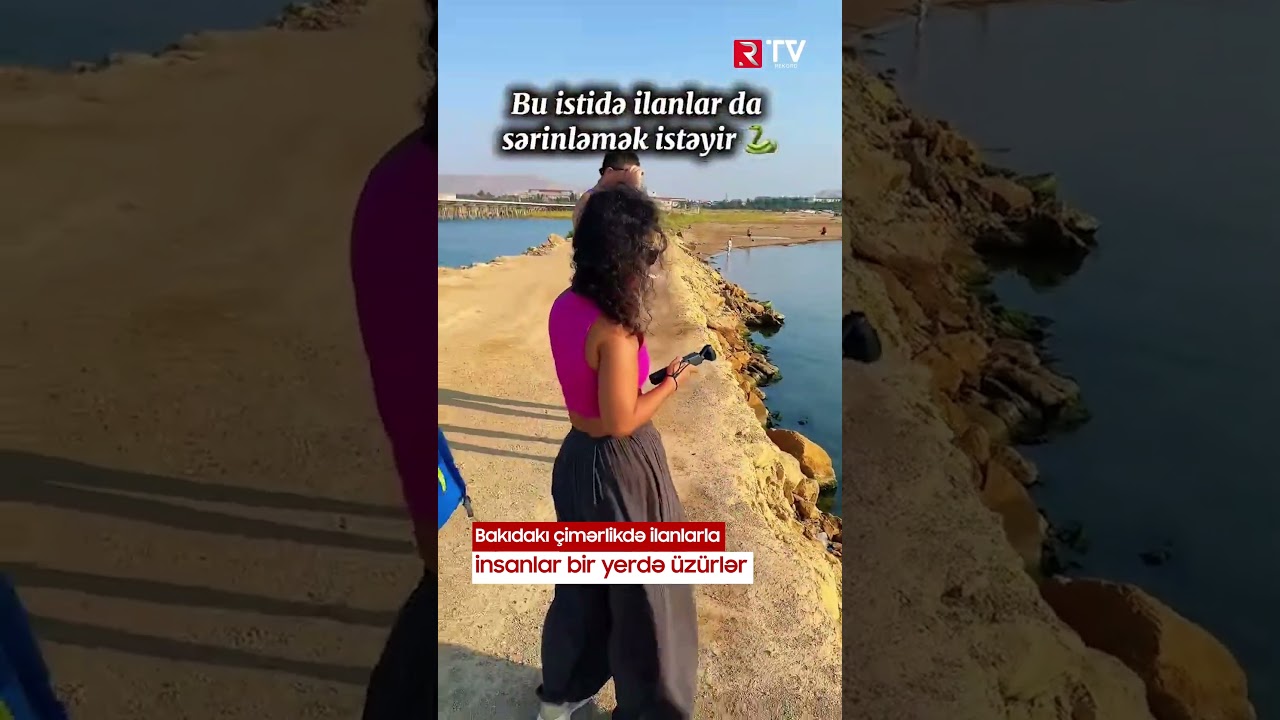 Bakıdakı çimərlikdə ilanlarla insanlar bir yerdə üzürlər - RTV