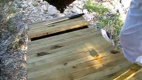 Learning Top Bar Hive Beekeeping - Comb management 1/2