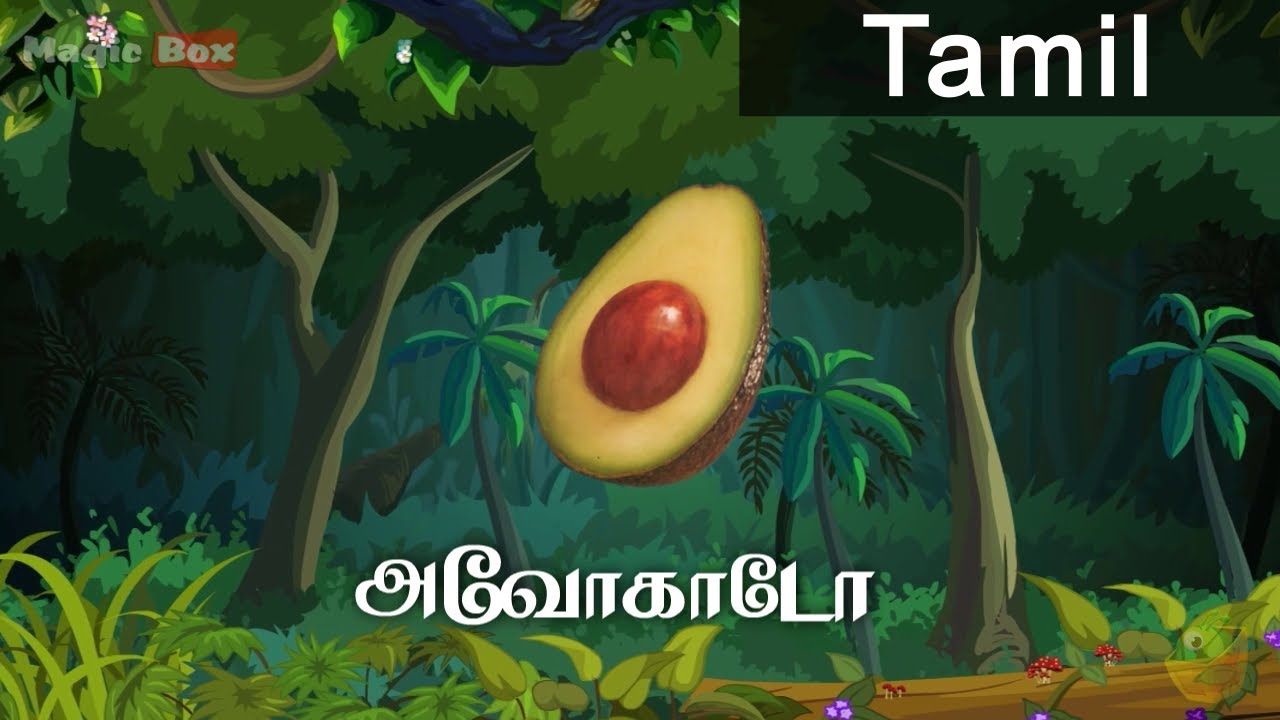 Avocado - Fruits In Tamil - Pre School Animated ...