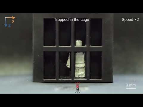 Magnetoactive Phase Transitional Matter Molded in Shape of Lego Figure Escapes from Cage