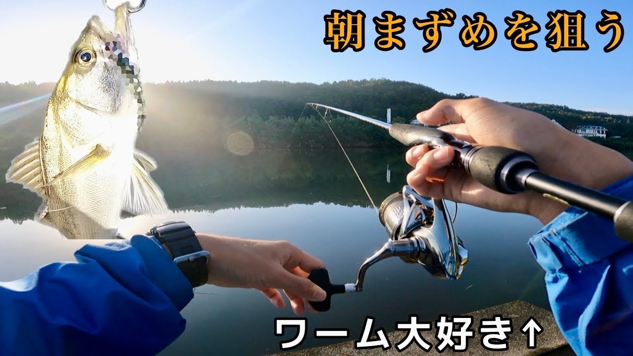 ワーム中毒アングラーが あのルアー を投げたら シーバスが突如喰って来た 陸っぱり河川釣り Youtube