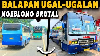 'BALAPAN BUS KEJAR SETORAN 🔥 NGEBLONG GAK KARUAN ‼️' Trip Report Naik Bus LADJU Balap Jawa Timuran