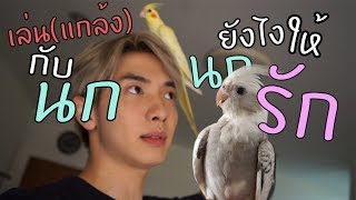 เล่น(แกล้ง)กับนกยังไงให้รักเราตราบฟ้าดินสลาย... | Zellfie