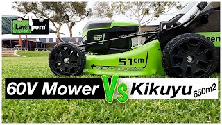 Greenworks 60V Pro Versus Thick Kikuyu 650m2