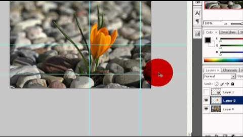 tutorial photoshop italiano - out of bounds