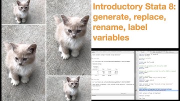 Introductory Stata 8: Generate, replace, rename, label variables