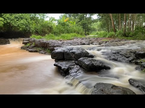Video Solo Camping | Cắm trại một mình bên bờ suối gần Sài... - youtube