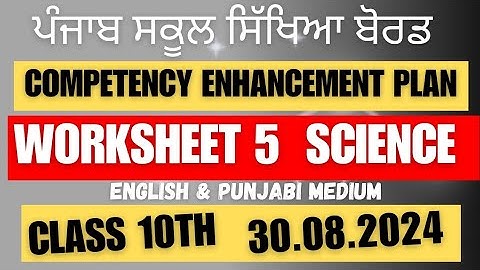 Class 10  SCIENCE Worksheet 5 solution 30.08.2024 english and punjabi medium