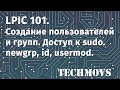 1. LPIC 101. Создание пользователей и групп. Доступ к sudo. newgrp, id, usermod.