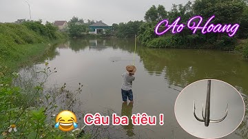 Cân cảnh câu ba tiêu ao hoang hưng hugo