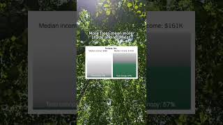 Your income shouldn’t shape how much shade you get. But it does.