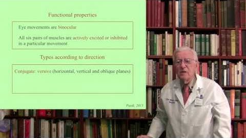 Lecture 6.  The Oculomotor System  I-II Structure, Function and Dysfunction