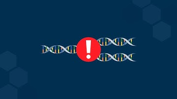 Topological Challenges of DNA Replication