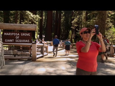 Video: Assisti All'evento Annuale Incendio Al Parco Nazionale Di Yosemite