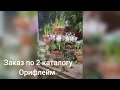 Заказ #орифлейм 2/2024 год, #новинки