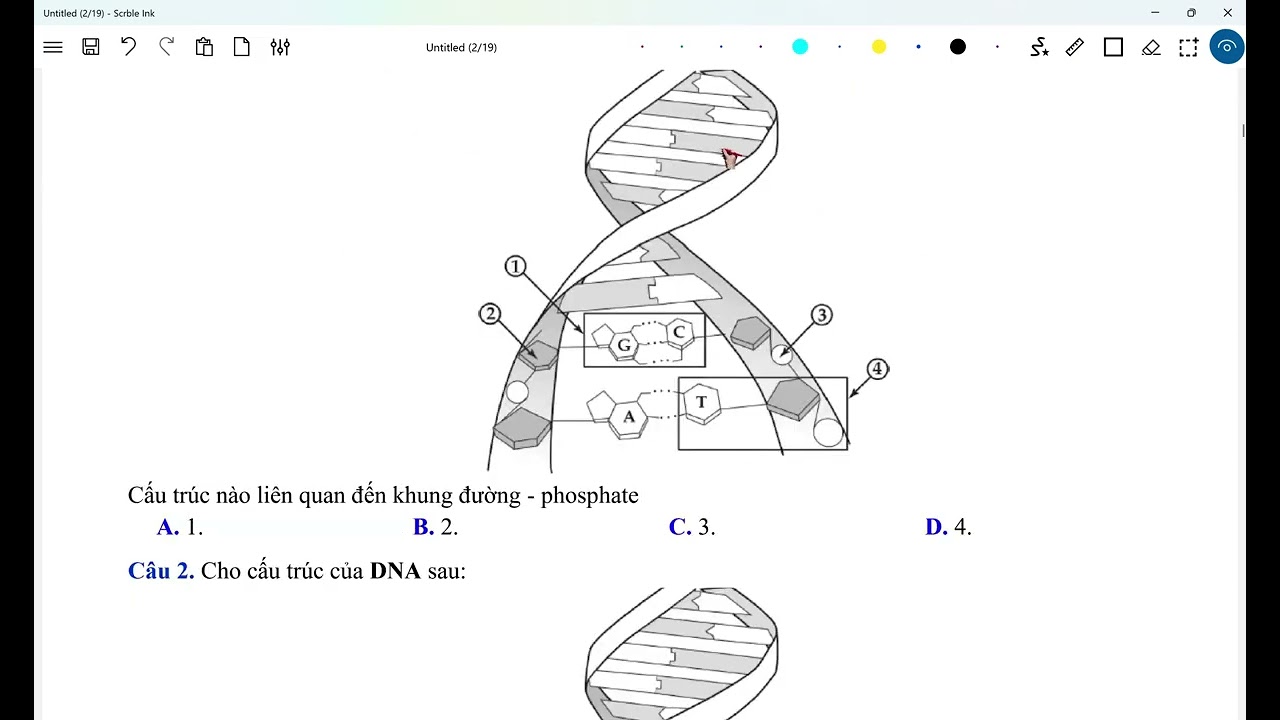 GEN- TÁI BẢN DNA PHẦN 1- TSA KHOA HỌC ĐỌC HIỂU