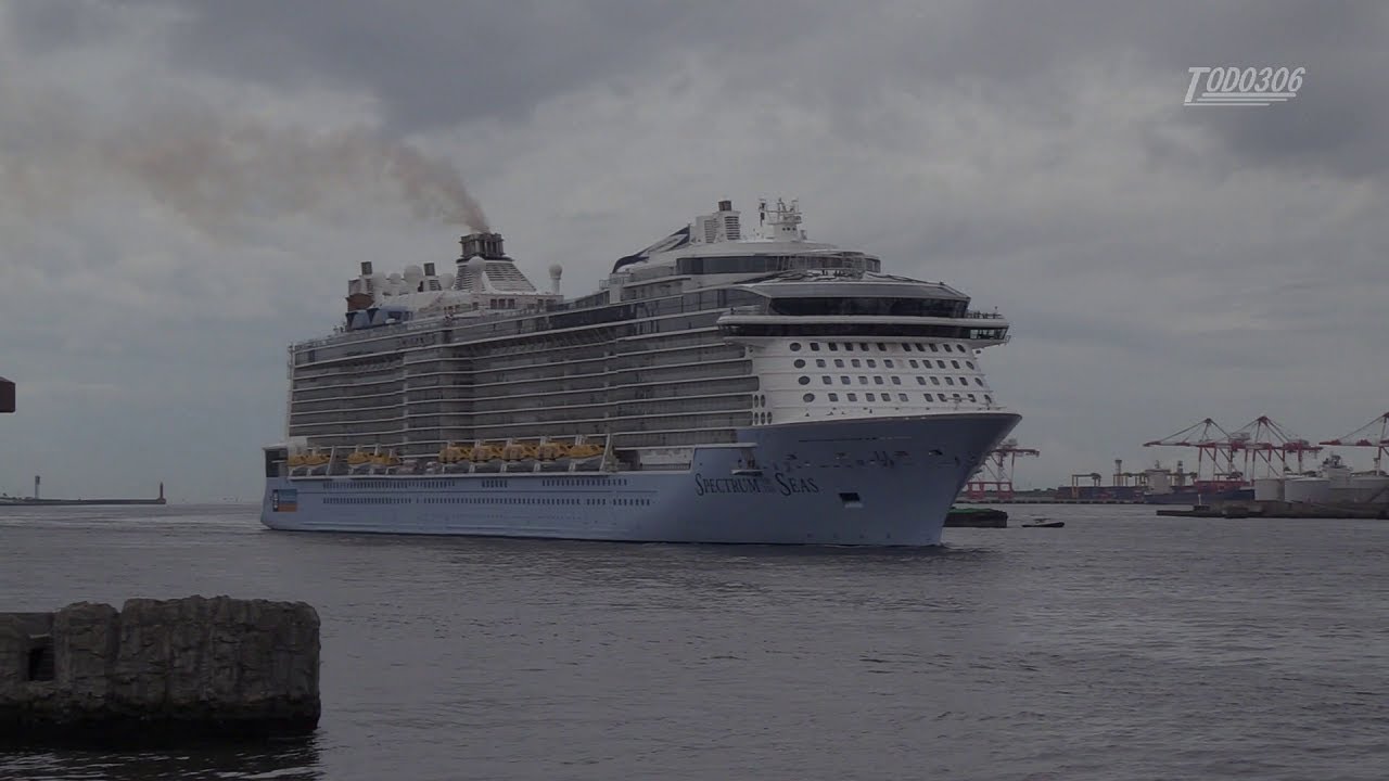 Royal Caribbean International Spectrum of the Seas 大阪港入港 -2019.07.18