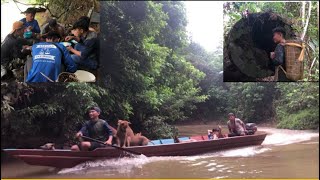 Memburu babi hutan di ulu sungai kinabatangan