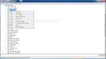 Flame Robin - Loading an SQL Script