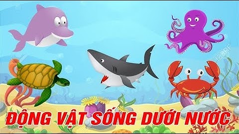 Động vật sống dưới nước   Xé dán đàn cá bơi