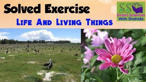 Life And Living Things | Solved Exercise (MCQs) | Class 6th Sciences