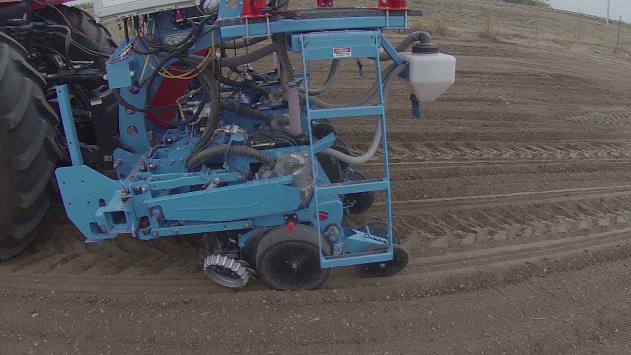 STEP 4 PLANTING - YouTube